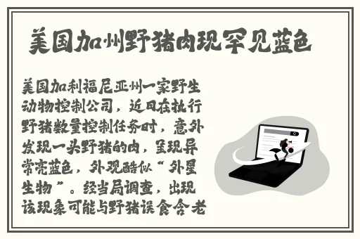 剧烈运动扑克高清视频